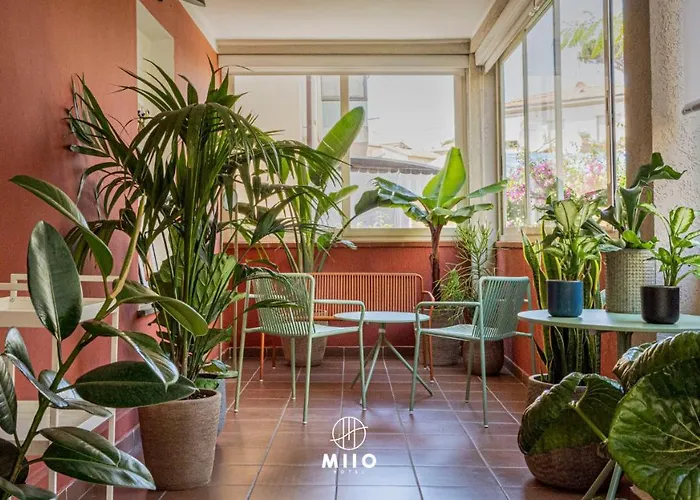 Hotel 3 stelle: Miio Hotel